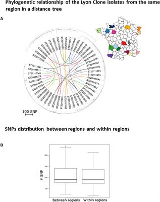 Routine Whole-Genome Sequencing for Outbreak Investigations of Staphylococcus aureus in a National Reference Center